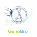 GENOBRO _ PGS_Preimplantation Genetic Screening_ Service